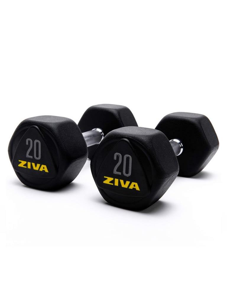 Ziva Performance Hexagon Steel Dumbbells Weight 20 Kg