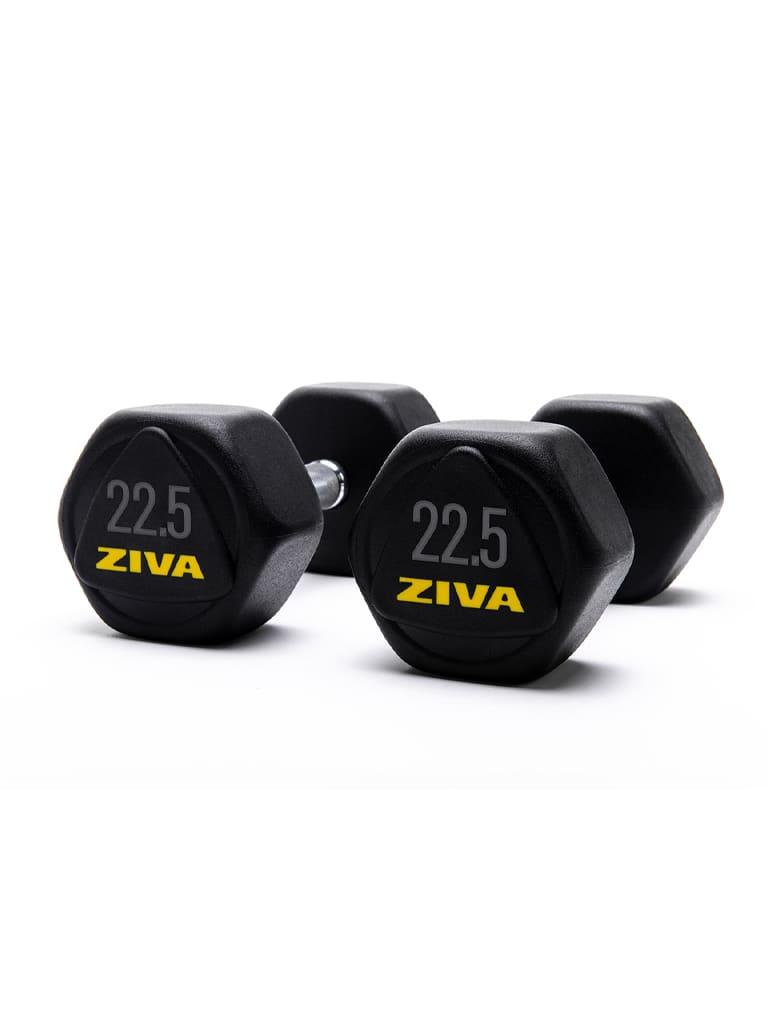 Ziva Performance Hexagon Steel Dumbbells Weight 22.5 Kg