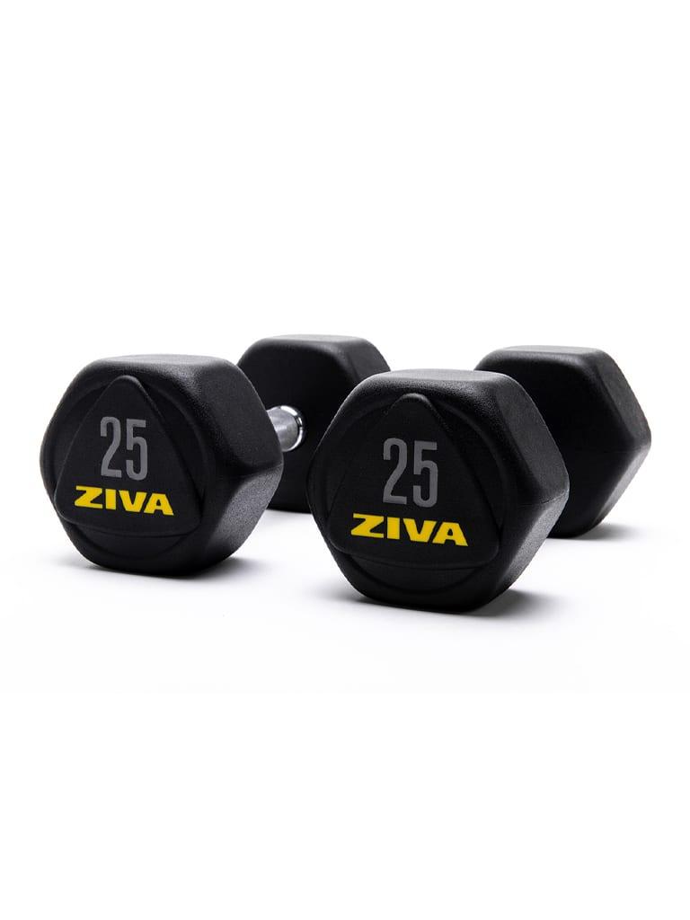 Ziva Performance Hexagon Steel Dumbbells Weight 25 Kg