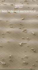 Aoran Automatic Inflatable Sleeping Mat For Camping