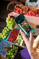 OnePlus Nord CE3 5G Smartphone 12/256GB