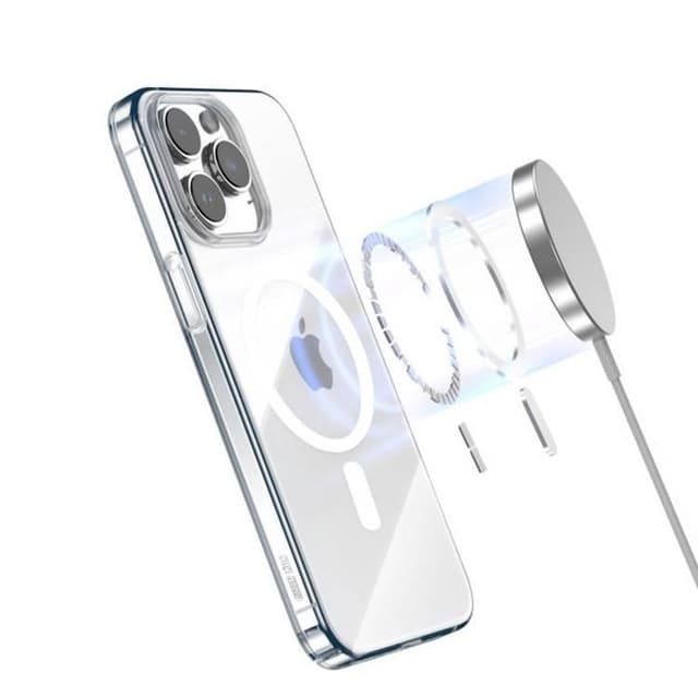 Green Lion Magsafe Delgado Case for iPhone 15 Pro Max - Clear