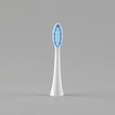 Toothbrush IPX7 Waterproof Rechargeable Replacement Heads Electric ToothBrush for Adult - SW1hZ2U6MTc4NTg4MA==