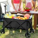 Green Lion Folding Wagon Cart - Black