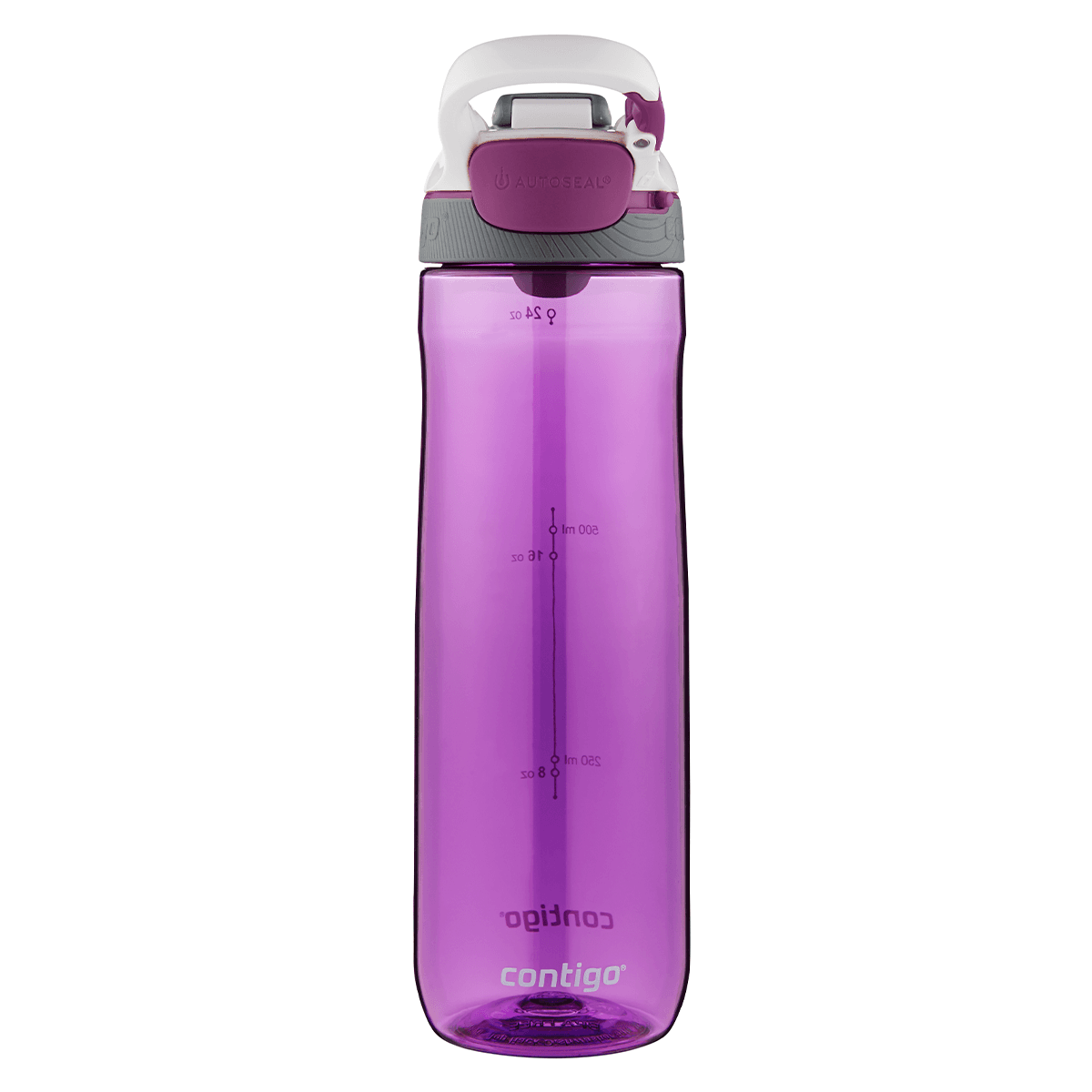 زجاجة ماء كبيرة 720 مل بلاستيك بنفسجي كونتيجو Contigo Orchid Autoseal Cortland Water Bottle