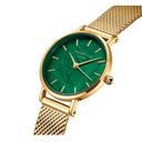 ساعة يد نسائية بميناء أخضر زمردي من عرق اللؤلؤمن روزفيلد Rosefield Women's Small Edit Emerald Mesh Watch Seegmg-Se72 - SW1hZ2U6MTgzNDc3MA==