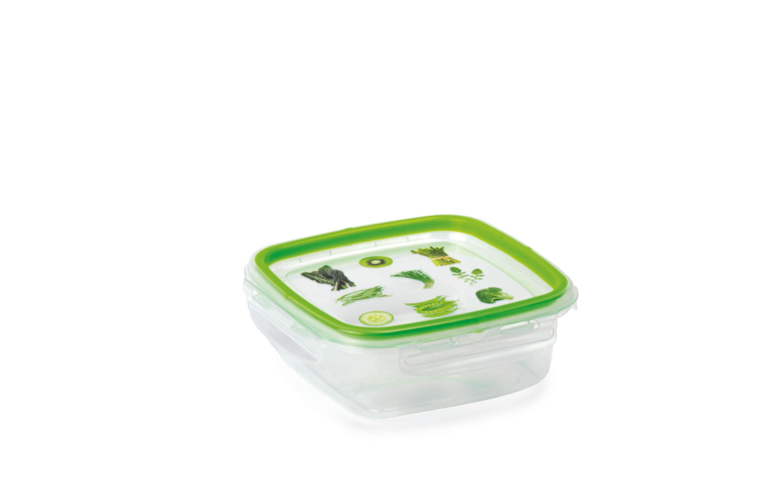 Snips 2 Pieces Snipslock Square Containers 500 ml Set Green Transparent PP TPE