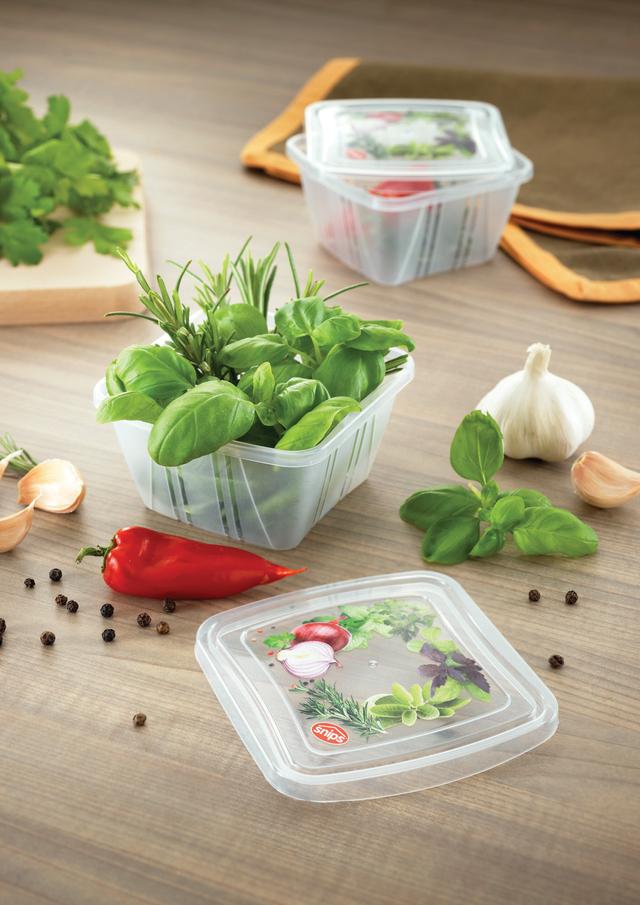 Snips 3 Pieces Fresh Square Container 250 ml Set Colored Transparent PP - SW1hZ2U6MTg1OTMyNA==