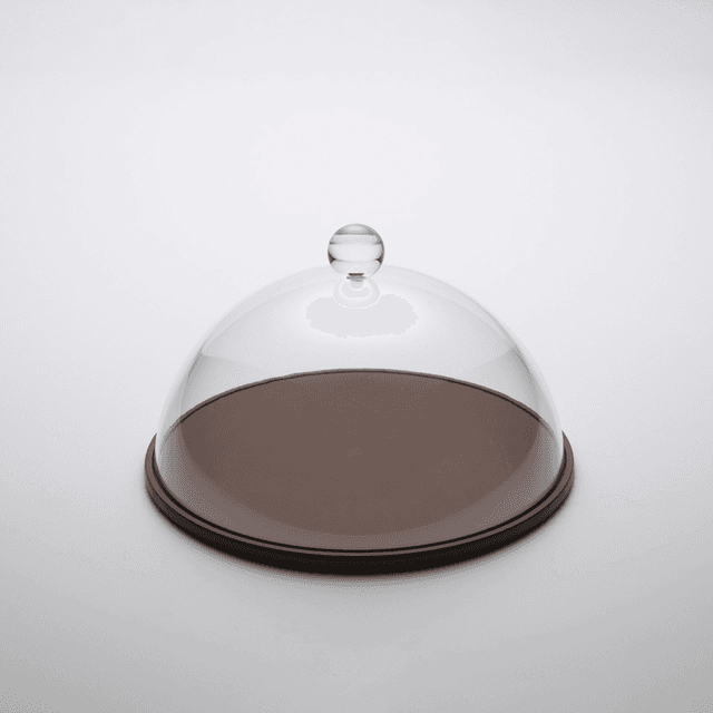 Vague Round Wooden Serving Platter with Acrylic Cover Set 26 cm Brown Transparent Acrylic Wood - SW1hZ2U6MTg2MTgyNQ==