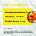 حماية ايفون 14 برو ماكس في ماكس الإصدار الذهبي Vmax Golden Edition  Package