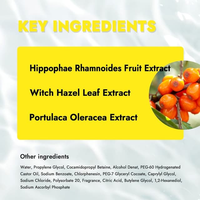 حماية ايفون 14 برو ماكس في ماكس الإصدار الذهبي Vmax Golden Edition  Package