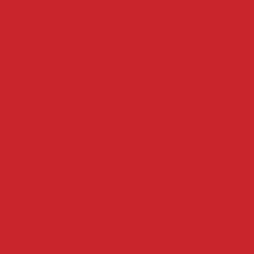 خلفية تصوير ورق 2.72 ×11 متر أحمر بي دي BD Seamless Corded Flame Tone