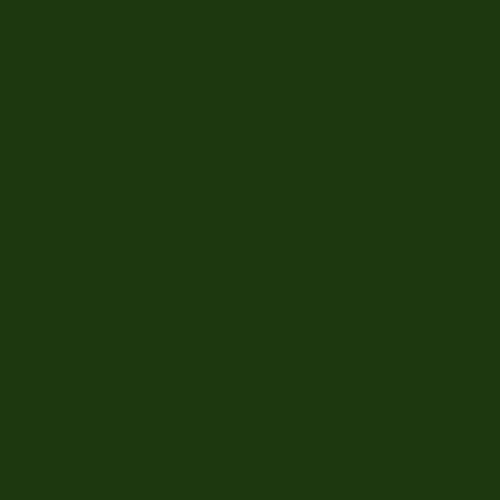 خلفية تصوير ورق 2.72 ×11 متر أخضر غامق بي دي BD Seamless Corded Foto Green