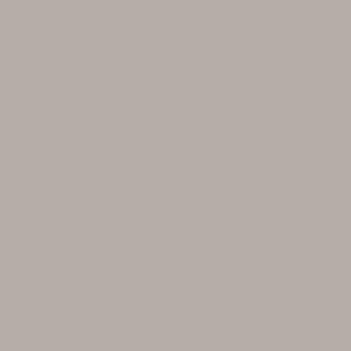 خلفية تصوير ورق 2.72 ×11 متر رصاصي بي دي BD Seamless Corded Pursuit Gray