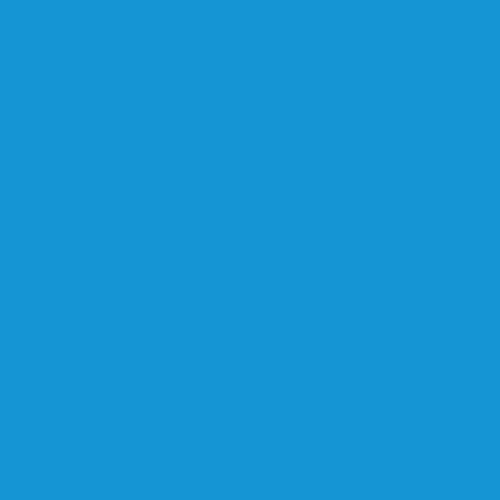 خلفية تصوير ورق 2.72 ×11 متر أزرق بي دي BD Seamless Corded Regal Blue