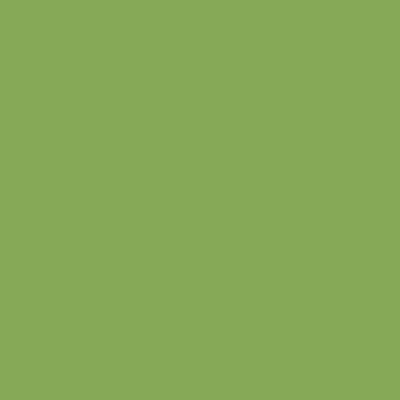 خلفية تصوير ورق 2.72 ×11 متر أخضر بي دي BD Seamless Corded Veri Green