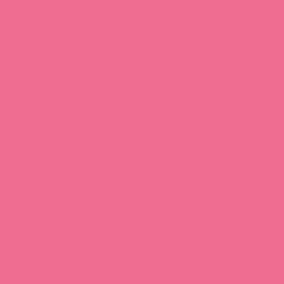 خلفية تصوير ورق 2.72 ×11 متر زهر بي دي BD Seamless Hot Pink
