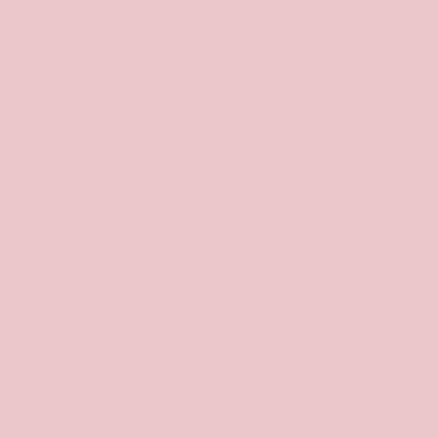 خلفية تصوير ورق 2.72 ×11 متر وردي بي دي  BD Seamless Pastel Pink