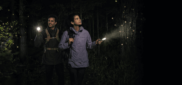 بطارية متنقلة للرحلات انكر سوليكس سي 800 بلس 768 واط/ساعة Anker Solix C800 Plus Portable Power Station