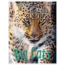 100 Facts - Big Cats