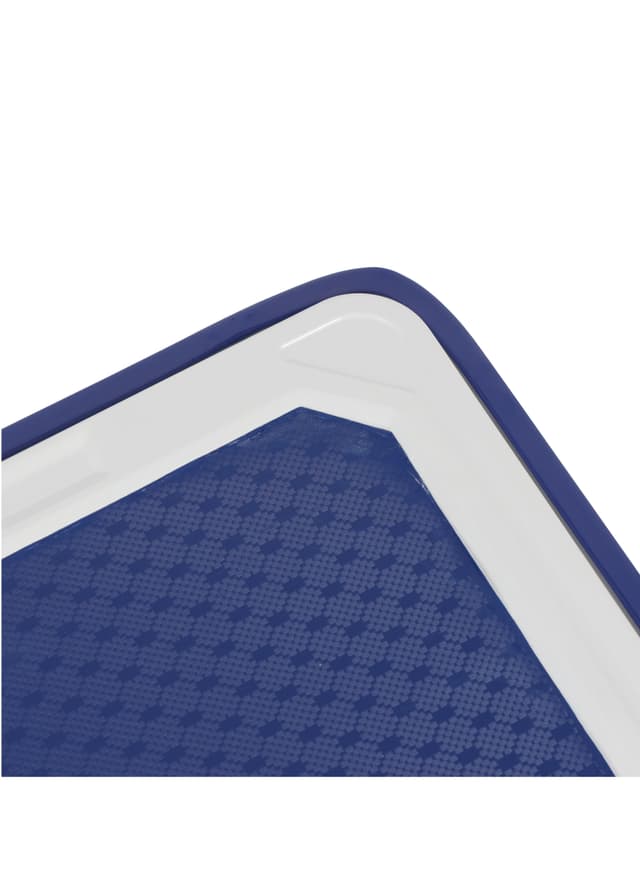 Geepas Platform Hand Trolley 150 Kg Maximum Load Capacity