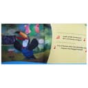 كتاب تعرف على ايليوت And Bird: Meet Elliot