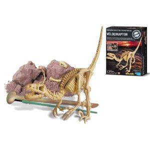 حفرية هيكل عظمي للفيلوسيرابتور كيدز لابس 4ام 4M Kidz Labs - Dig A Velociraptor Skeleton