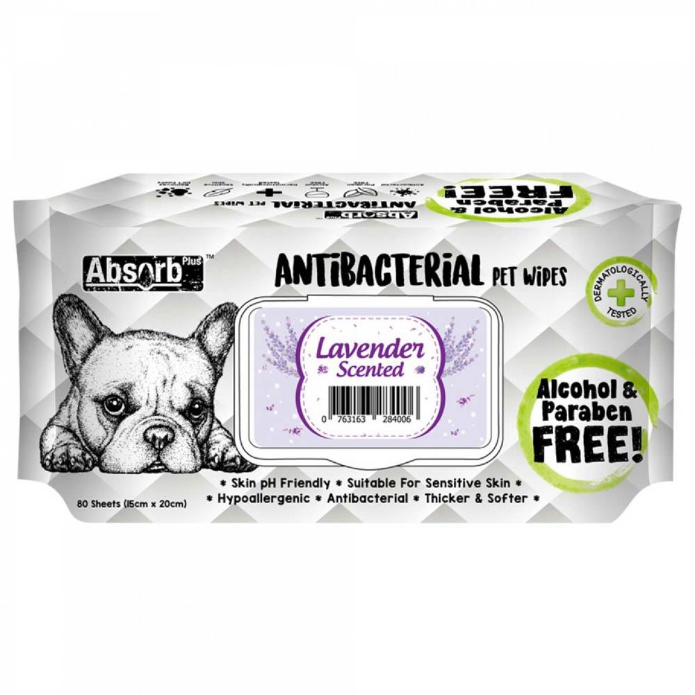 مناديل مبلله للحيوانات الأليفة مضادة للبكتيريا برائحة اللافندر  ابسولوت هوليستيك Absolute Holistic Pet Absorb + Antibacterial Wipes Lavender