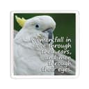 ملصق مغناطيسي بصورة ببغاء أبيض و باقتباس يعبر عن الحب من أجوبا Ajooba - Dubai Love Magnet