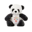 لعبة الباندا المحشوة من اروما هوم Aroma Home Panda Plush Toy (نسخة)