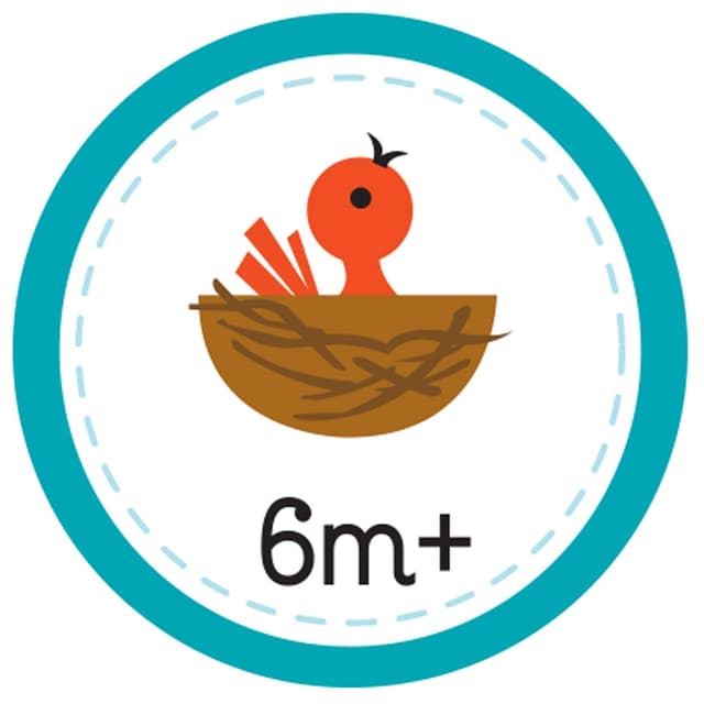 كتاب مصور للاطفال عن الغابة "الاطفال في الغابة" من كوتاج دور Babies In The Forest