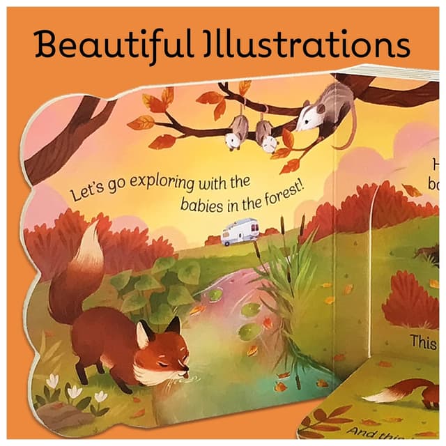 كتاب مصور للاطفال عن الغابة "الاطفال في الغابة" من كوتاج دور Babies In The Forest