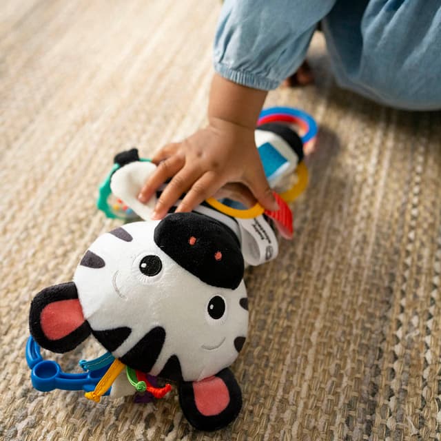 Baby Einstein - Playful Pal Toy - Zebra