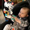 Baby Einstein - Playful Pal Toy - Zebra