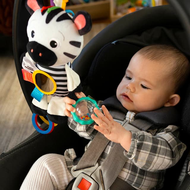 Baby Einstein - Playful Pal Toy - Zebra