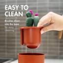 Boon - Cacti Bottle Cleaning Brush Set