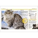 كتاب مصور للاطفال عن القطط من مجموعة بوكيت من دار نشر دي كي DK Cats