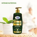 لوشن جسم برائحة عطر مخلط عبوة 500 مل من كوول آند كوول Cool & Cool - Body Lotion Mukhalat 500ml