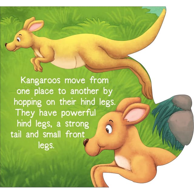 Om Books International  Kangaroo ( Animals and Birds )- Cutout Board Books