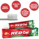 معجون أسنان ريد جل الايورفيدا 150 جرام دابر Dabur - Red Gel Toothpaste 150gm