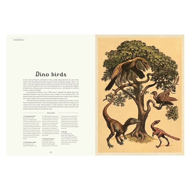 Dinosaurium - Book