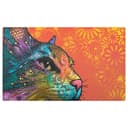 سجادة ليتر بوكس للقطط 50×30 سم برتقالي مع رسومات دريميت Drymate Mat For Cats  Smudge