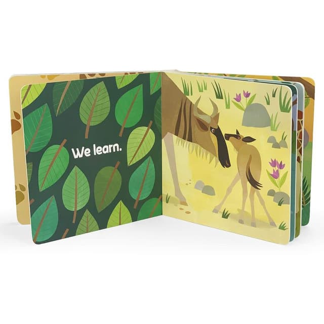 كتاب مصور للاطفال عن العائلة من دار نشر كوتاج دور Family