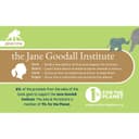 كتاب مصور للاطفال عن العائلة من دار نشر كوتاج دور Family