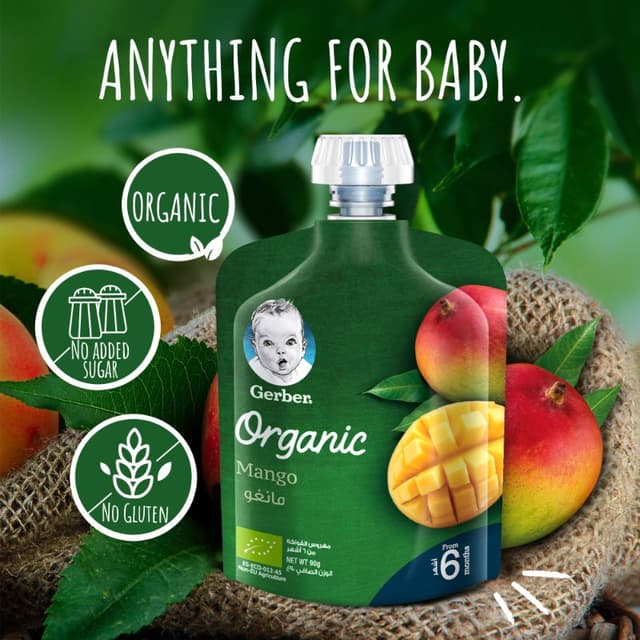 Gerber - Organic Mango 90g