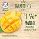 Gerber - Organic Mango 90g