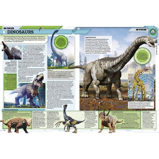 Guinness World Records 2019