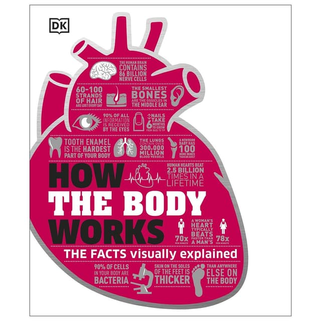 كتاب كيف يعمل الجسم تأليف دار النشر دي كيه How the Body Works