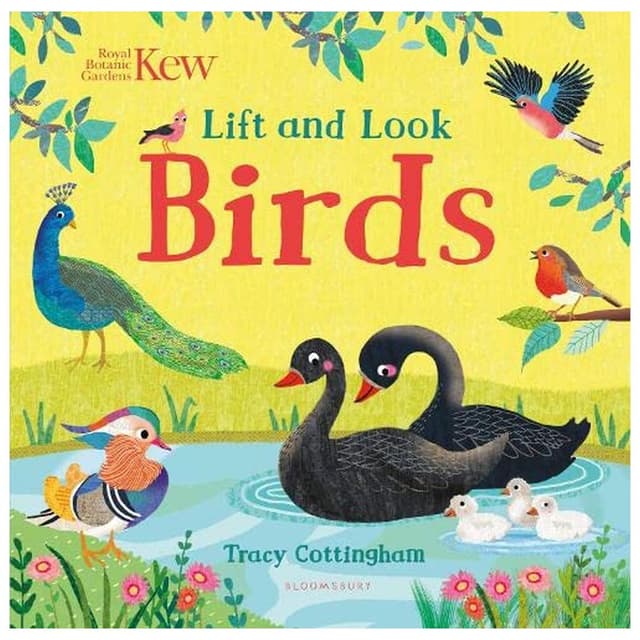كتاب ارفع الطيور وانظر إليها من كيو Kew: Lift and Look Birds