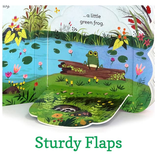 كتاب مصور للاطفال عن الضفادع "الضفدع الأخضر الصغير" من دار نشر كوتاج دور Little Green Frog